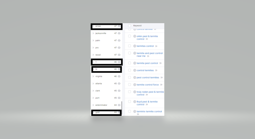 Screenshot of the keywords for Termite Control, with four suggestions highlighted in a black outline box.