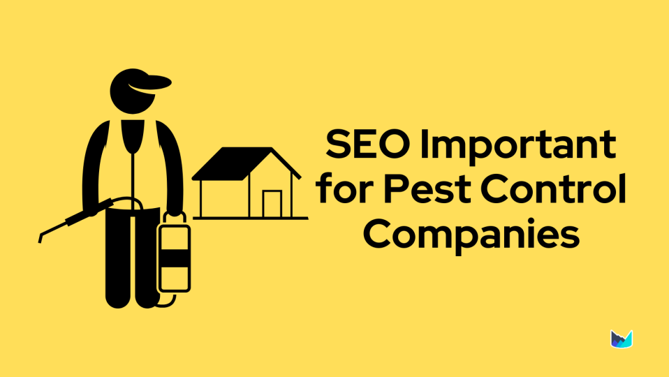 SEO for Pest Control: Become a Pro with These 12 Steps